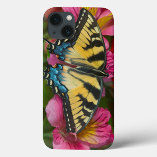 Een Tijgerzwaluwstaartvlinder iPhone 13 Hoesje