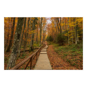 Een tocht door het herfstbos. perfect poster