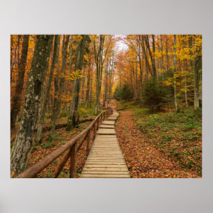 Een tocht door het herfstbos. poster