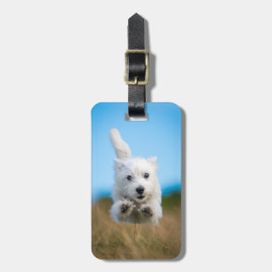 Een toverkorting van de Terrier Puppy die van het  Bagagelabel