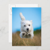 Een toverkorting van de Terrier Puppy die van het  Briefkaart (Voorkant / Achterkant)