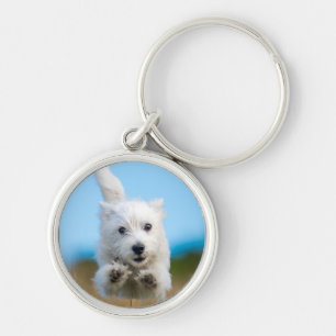 Een toverkorting van de Terrier Puppy die van het Sleutelhanger