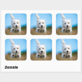 Een toverkorting van de Terrier Puppy die van het Vierkante Sticker (Vel)