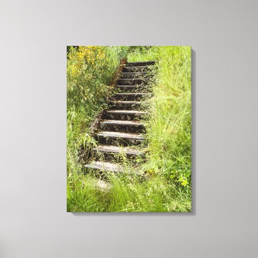 Een trap in het gras canvas afdruk (Voorkant)