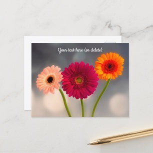 Een trio van Gerbera's ansichtkaart Briefkaart