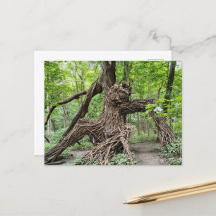 Een trol in het bos briefkaart