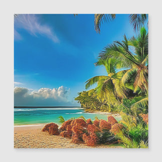 Een tropisch paradijs.