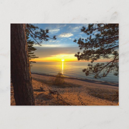 Een twaalfmaands zondst briefkaart (Voorkant)