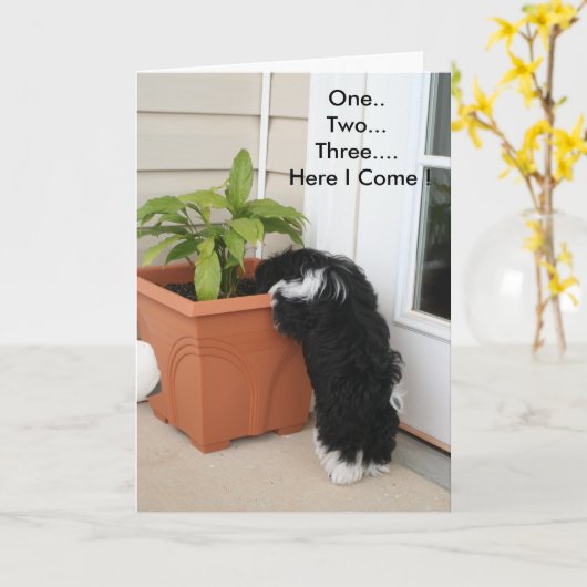 Een twee drie Kaart (Gele Bloem)