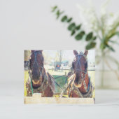 Een twee paarden Amish team Briefkaart (Staand voorkant)