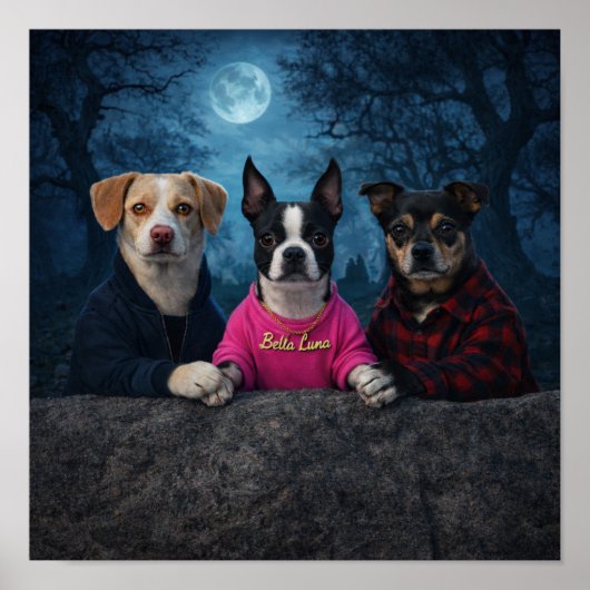 "Een Twilight Driehoek" Poster (Voorkant)