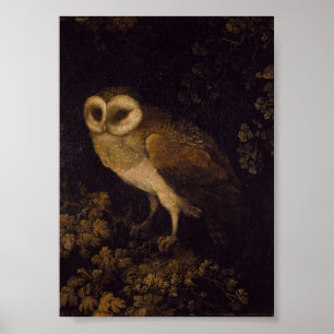 Een uil van Moses Haughton de Oudere Poster