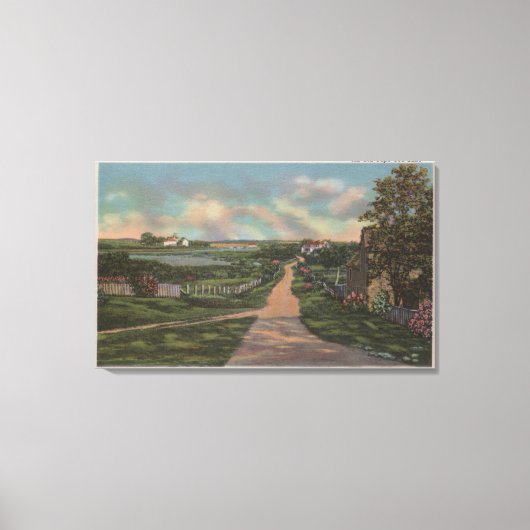 Een Uitzicht met een oude cape-lus Canvas Afdruk (Voorkant)