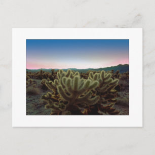 Een "uitzicht Pointy " Briefkaart