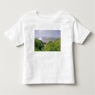 Een Uitzicht van Ailsa Craig en het eiland Arran,  Kinder Shirts