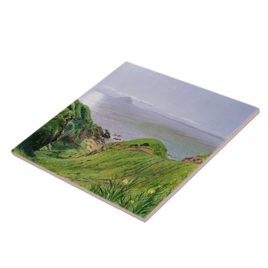Een Uitzicht van Ailsa Craig en het eiland Arran,  Tegeltje (Zijkant)