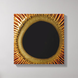 Een uitzicht van het binnenoppervlak van de iris canvas afdruk