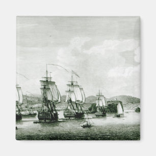 Een Uitzicht van het eiland Saint Lucie Magneet