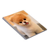 Een unieke Pommerse laptop met een fijne charming Notitieboek (Rechterzijde)
