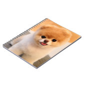Een unieke Pommerse laptop met een fijne charming Notitieboek (Linkerzijde)