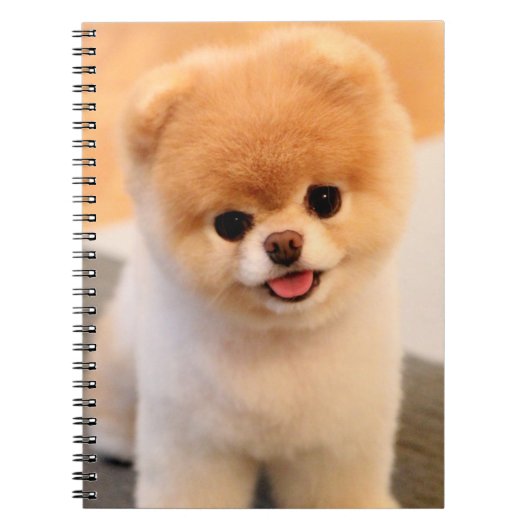Een unieke Pommerse laptop met een fijne charming Notitieboek (Voorkant)