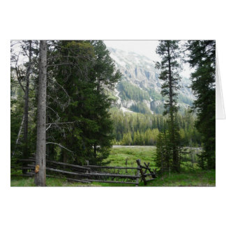 Een vallei in Yellowstone National Park