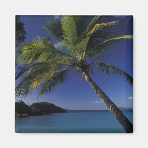 Een van de beste stranden ter wereld; Trunk Bay op Magneet