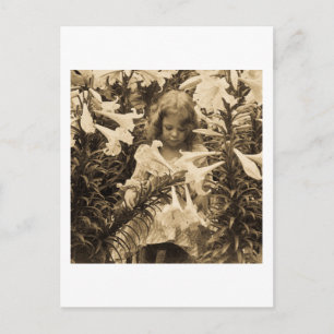 Een van de Lillies - Stereoview Briefkaart
