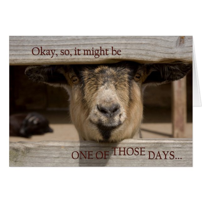 Een van die dagen (Voorkant Horizontaal)