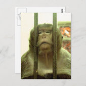 Een van die dagen.... briefkaart (Voorkant / Achterkant)