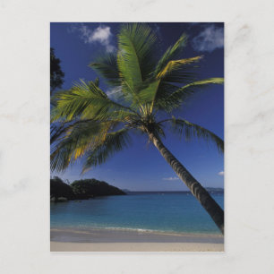 Een van 's werelds beste stranden; Trunk Bay op Briefkaart