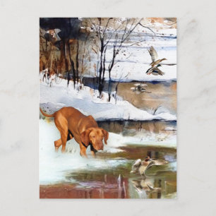 Een veelzijdige aristocraat in het Hongaarse Visla Feestdagenkaart