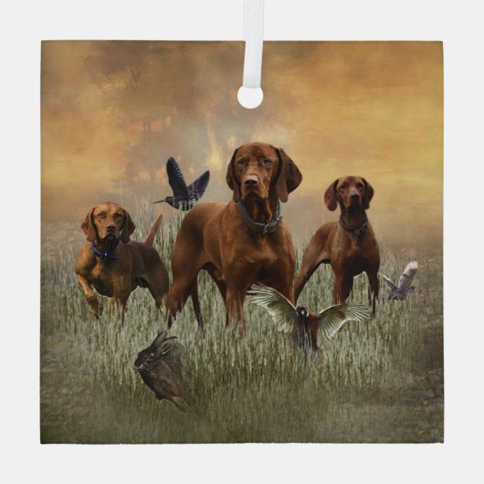 Een veelzijdige aristocraat in het Hongaarse Visla Glas Ornament (Achterkant)