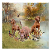 Een veelzijdige aristocraat in het Hongaarse Visla Perfect Poster (Voorkant)