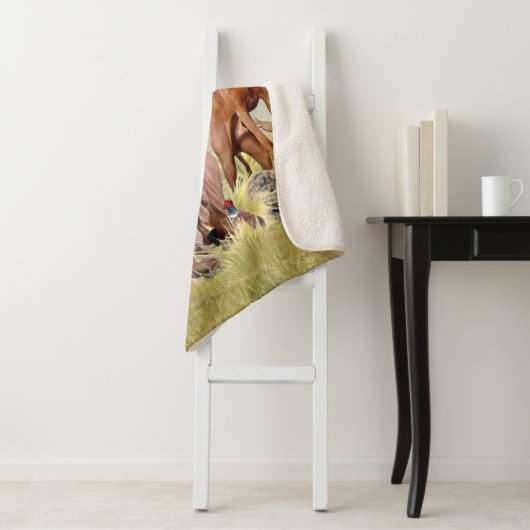 Een veelzijdige aristocraat in het Hongaarse Visla Sherpa Deken (In situ)