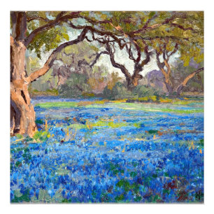 Een veld met blauwe bonen bij Alamo Heights, 1919, Foto Afdruk