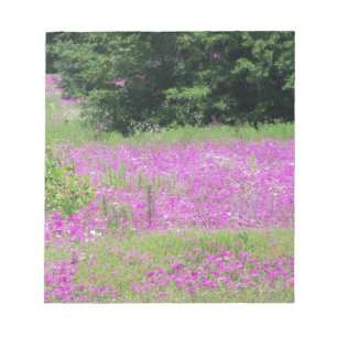 Een veld met roze lente-wilde bloemen notitieblok