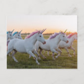 Een veld van eenhoorns briefkaart (Voorkant)