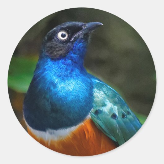 Een verbluffende Afrikaanse superman Ronde Sticker (Voorkant)