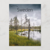 Een verborgen moerasmeer in Jämtland Zweden Briefkaart (Voorkant)
