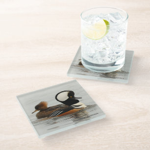 Een vergadering van de Gedekte Merganser Ducks bij Glazen Onderzetter