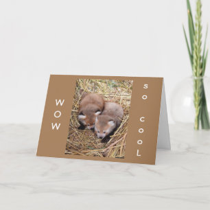 EEN 'VERJAARDAG' DELEN MET 'JOU' IS ZO 'COOL' KAAR KAART