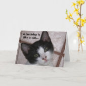 Een verjaardag is als een kat... kaart (Gele Bloem)