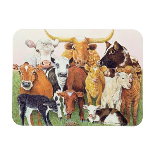 Een verrassende vreemdeling magneet (Horizontaal)