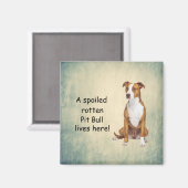 Een verwende rotte pitbull leeft hier magneet (Voorkant / Achterkant)