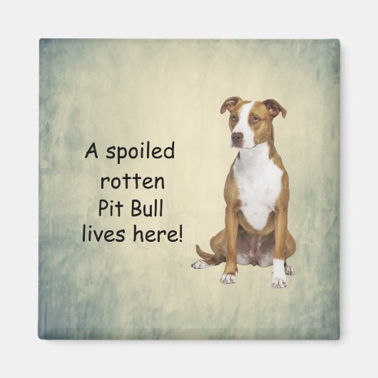 Een verwende rotte pitbull leeft hier magneet (Voorkant)