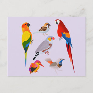 Een verzameling vogels briefkaart