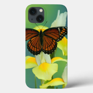 Een Viceroy Butterfly op een geel Japans Iris iPhone 13 Hoesje