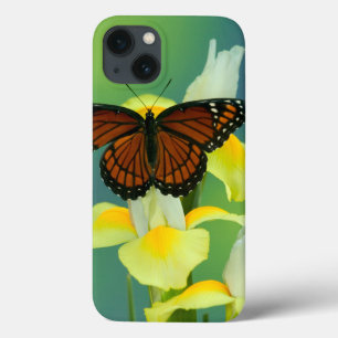 Een Viceroy Butterfly op een geel Japans Iris iPhone 13 Hoesje