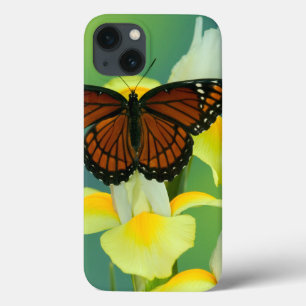 Een Viceroy Butterfly op een geel Japans Iris iPhone 13 Hoesje